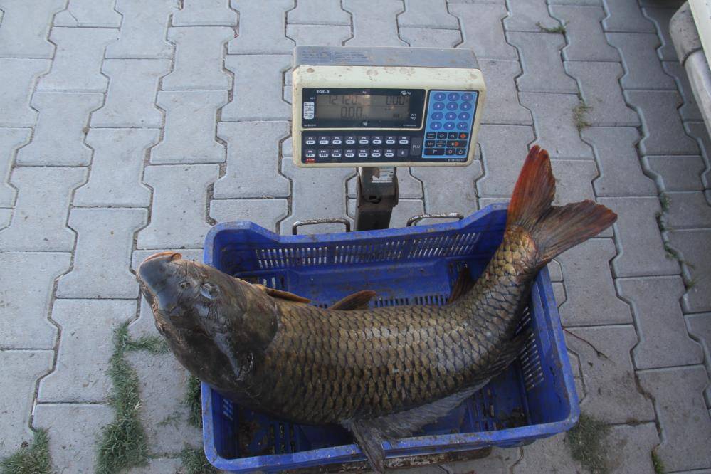 Sezon açıldı, Konya’da avcıların yüzü gülüyor 8